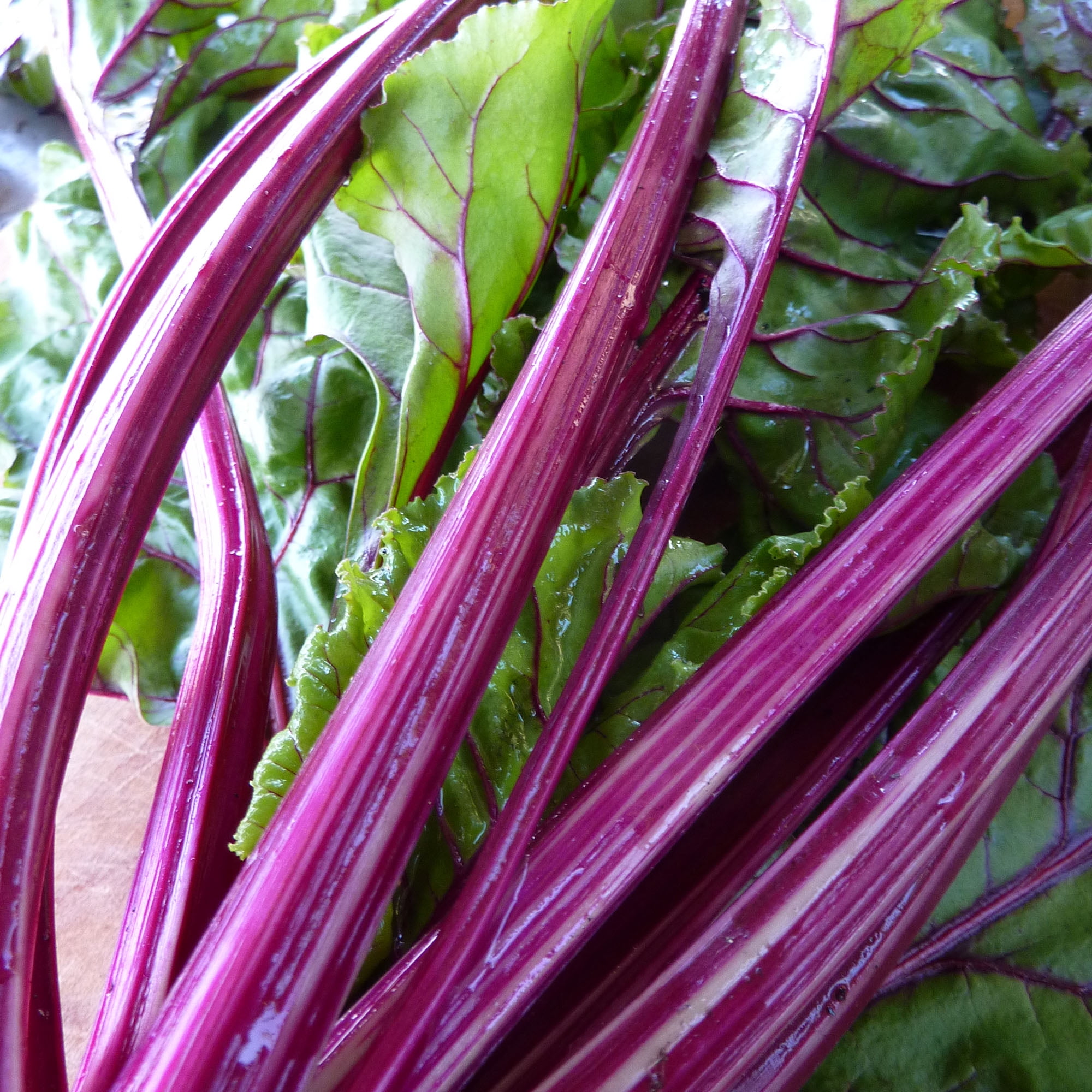 Organic Early Wonder Beet Seeds - 2 g ~100 Seeds - Organic, Heirloom ...