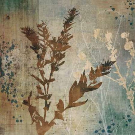 Organic Elements II Canvas Art - Tandi Venter (24 x 24)