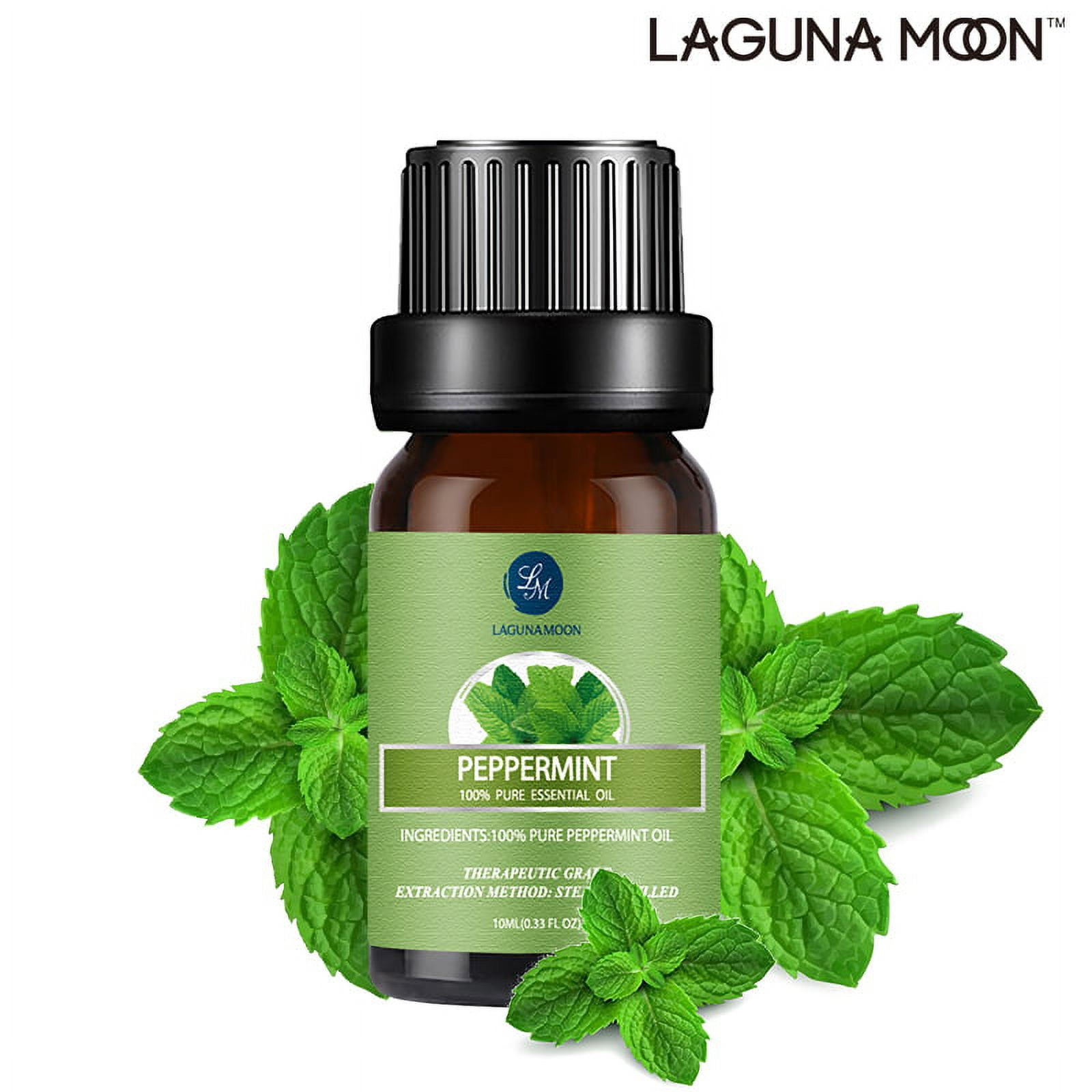 Plant Therapy Organic Peppermint Essential Oil 100% Pure, USDA Certified  Organic, Undiluted, Natural Aromatherapy, Therapeutic Grade 10 mL (1/3 oz)  0.33 Fl Oz (Pack of 1)