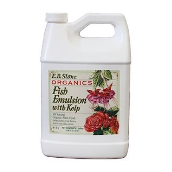 Organic Fish Emulsion with Kelp, one Gallon Size
