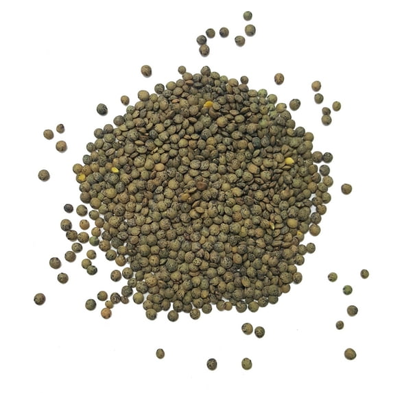 Organic French Green Lentils Whole Raw, High Fiber Non-GMO-Bulk (7LB)