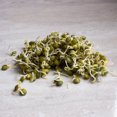 thumbnail image 1 of Organic French Lentil Sprouting 25 Lb ~375,000 Seeds – Lens culinaris – 2–4 Day Sprouts – Non-GMO, High Protein – Heirloom Microgreens – Easy Indoor Growing – Rich in Iron & Magnesium, 1 of 7