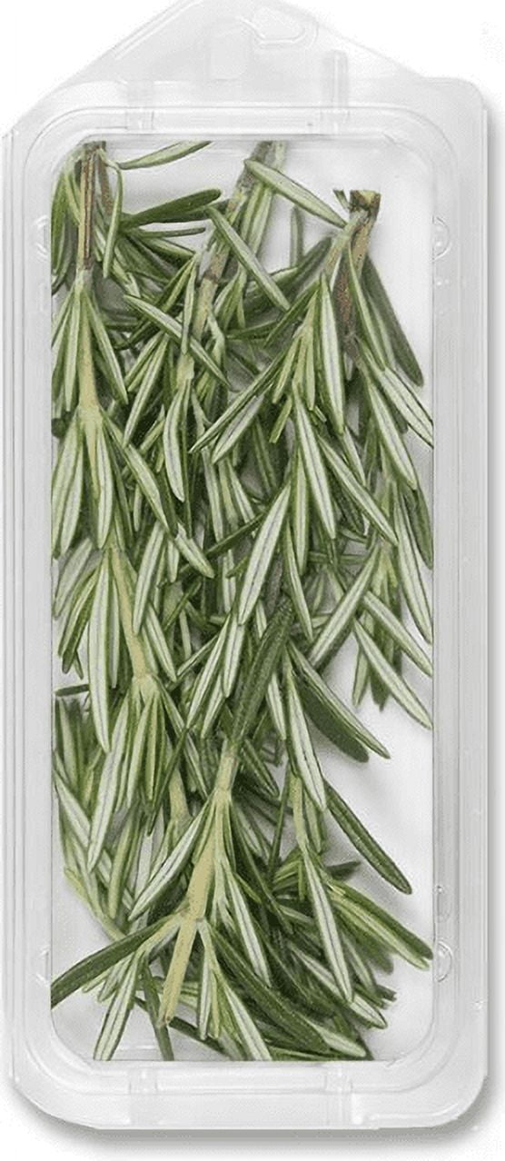Organic Fresh Rosemary, 0.5 oz Clamshell