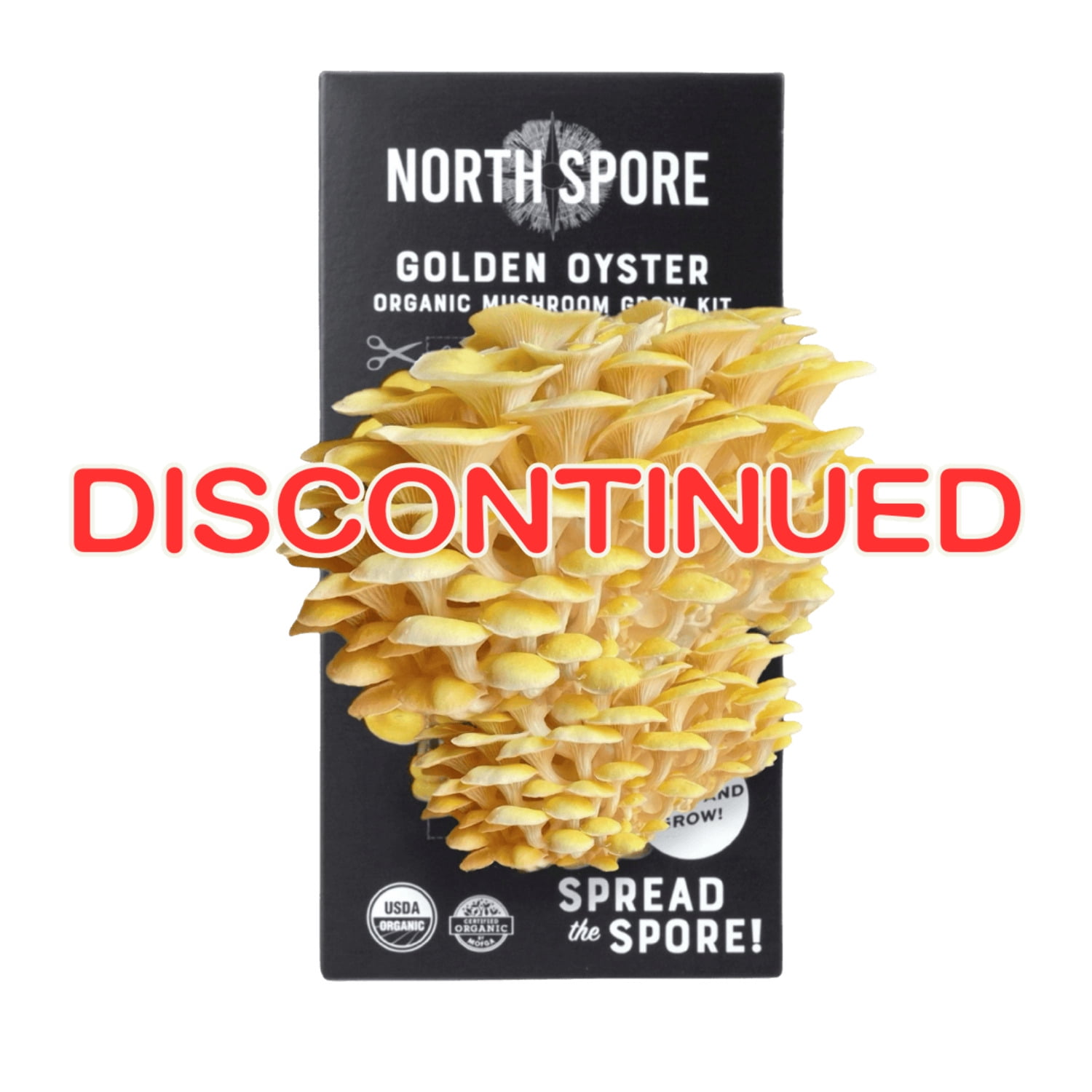 Organic Golden Oyster ‘Spray & Grow’ Mushroom Growing Kit