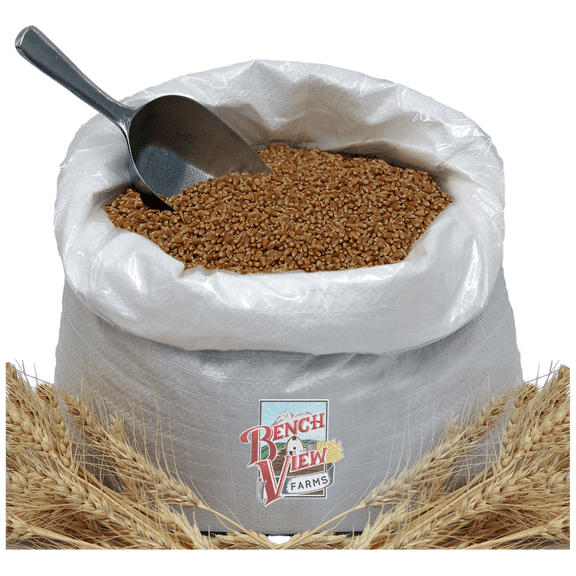 Organic Hard Red Wheat Berries - 24lbs