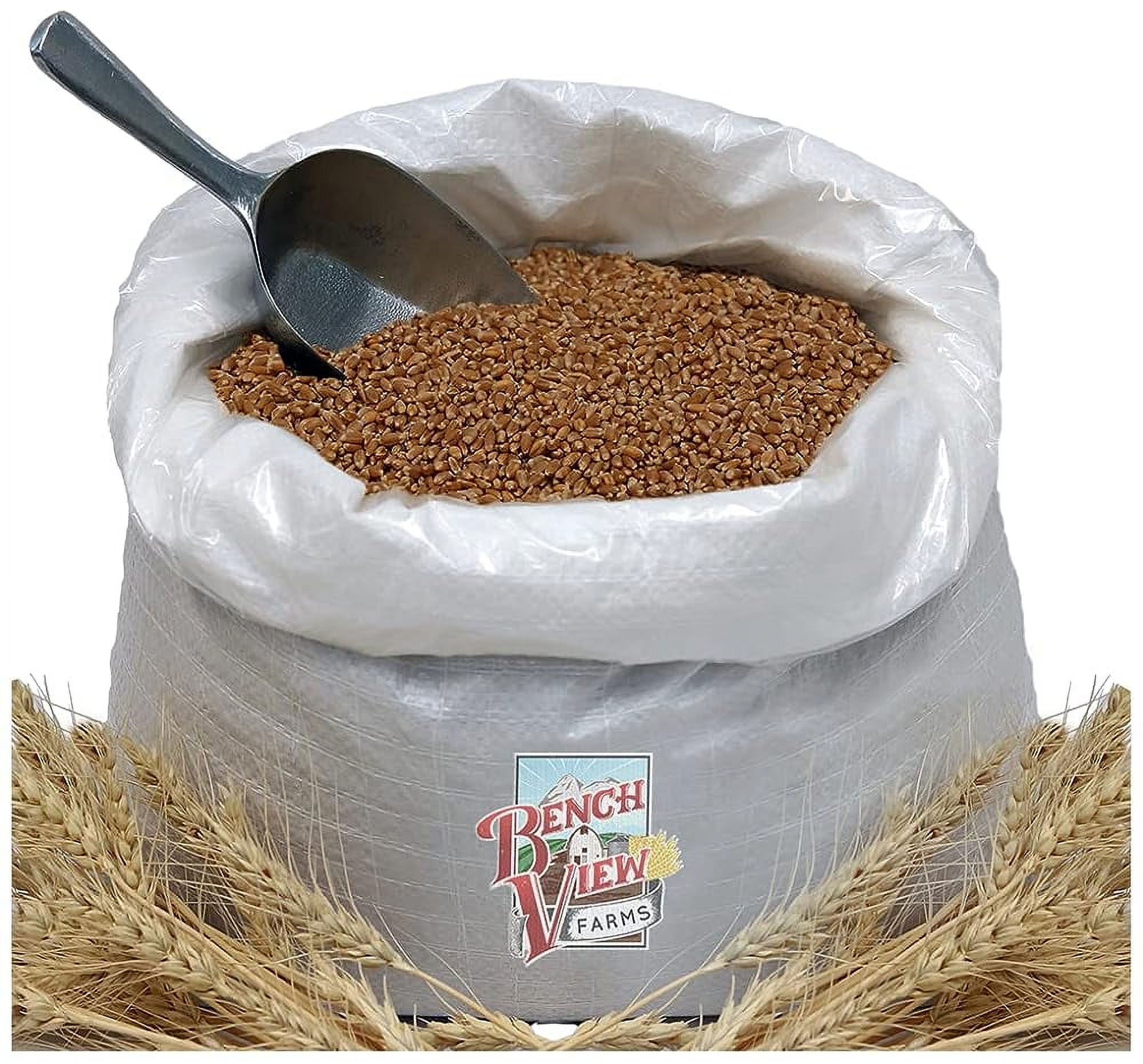 Organic Hard Red Wheat Berries 48Lbs