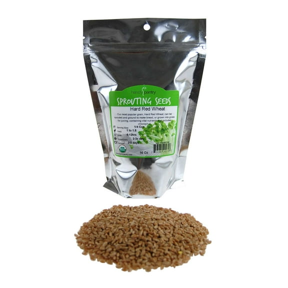 Organic Hard Red Wheat Seed- 1 Lbs (16 Oz.)- Grow Wheatgrass, Flour, Grain & Bread, Emergency Food Storage, Ornamental Wheat Grass