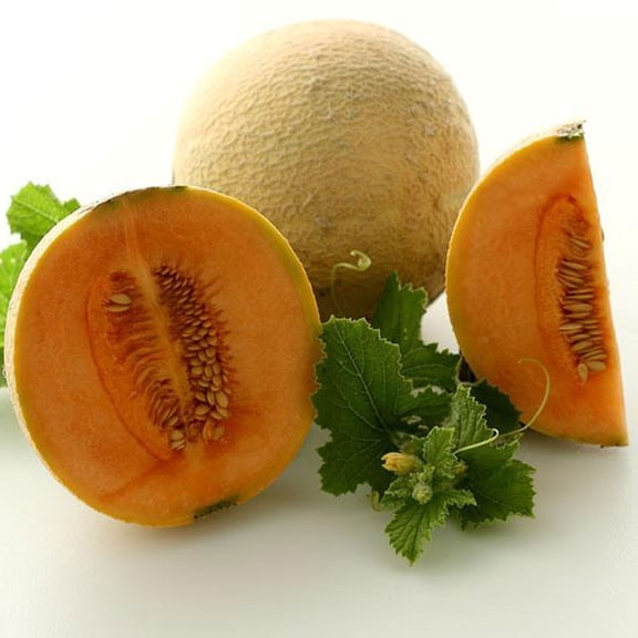 Organic Hearts of Gold Melon - 1/4 LB Bulk ~4,000 Seeds - Organic, Heirloom, Open Pollinated, Non-GMO, Farm & Vegetable / Fruit Gardening Seeds