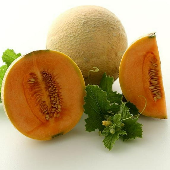Organic Hearts of Gold Melon - 1 OZ ~1,000 Seeds - Organic, Heirloom, Open Pollinated, Non-GMO, Farm & Vegetable / Fruit Gardening Seeds