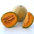 thumbnail image 1 of Organic Honey Rock Melon Seed - 1 g ~30 Seeds - Organic, Heirloom, Open Pollinated, Non-GMO, Farm & Vegetable / Fruit Gardening Seeds, 1 of 2