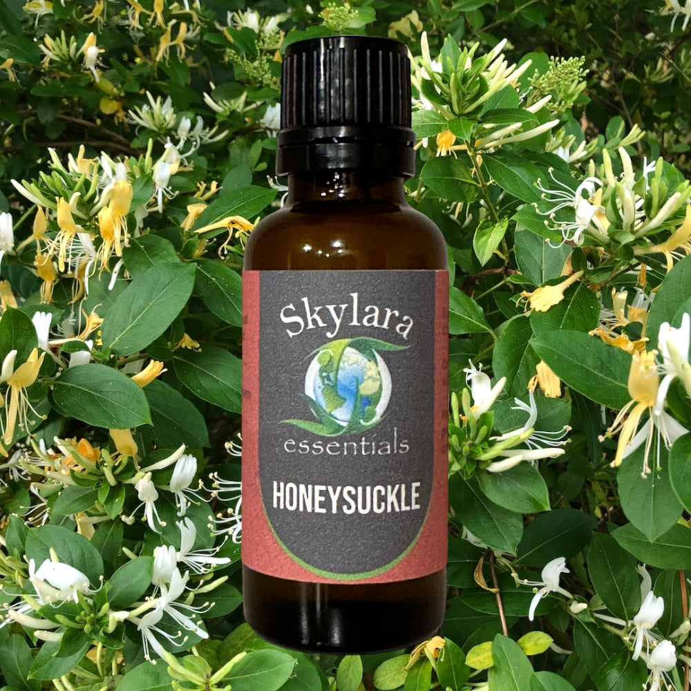 Ancient Essence Honeysuckle Rose Essential Oil Blend - 5ml Roll-On Bottle For Aromatherapy, Uplifting & Calming Scent