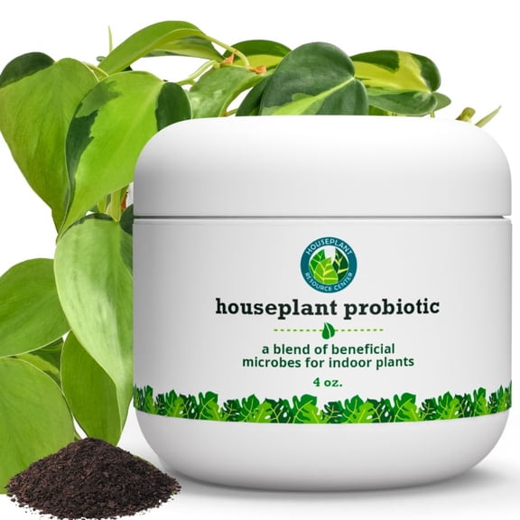 Organic Houseplant Probiotic Powder Soil Conditioner to Improve Soil Structure, Balance pH, Enhance Soil Bioavailability and Improve Growth, Blooms, Yield Fast Acting Indoor and Outdoor Plants