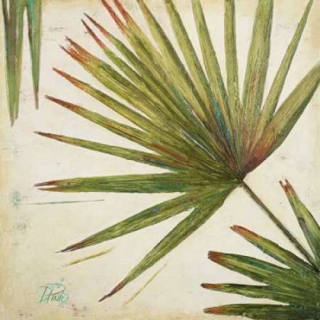 Organic II Canvas Art - Patricia Pinto (24 x 24)