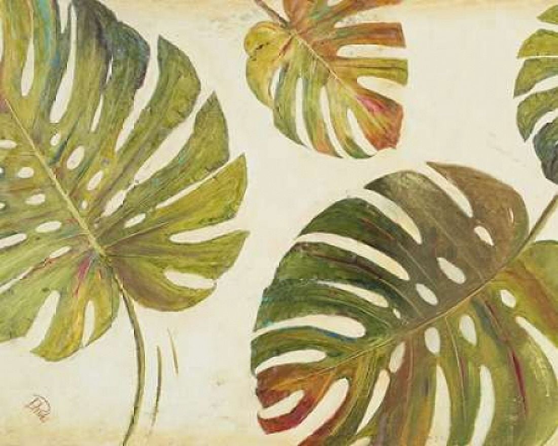 Organic II Canvas Art - Patricia Pinto (24 x 30)