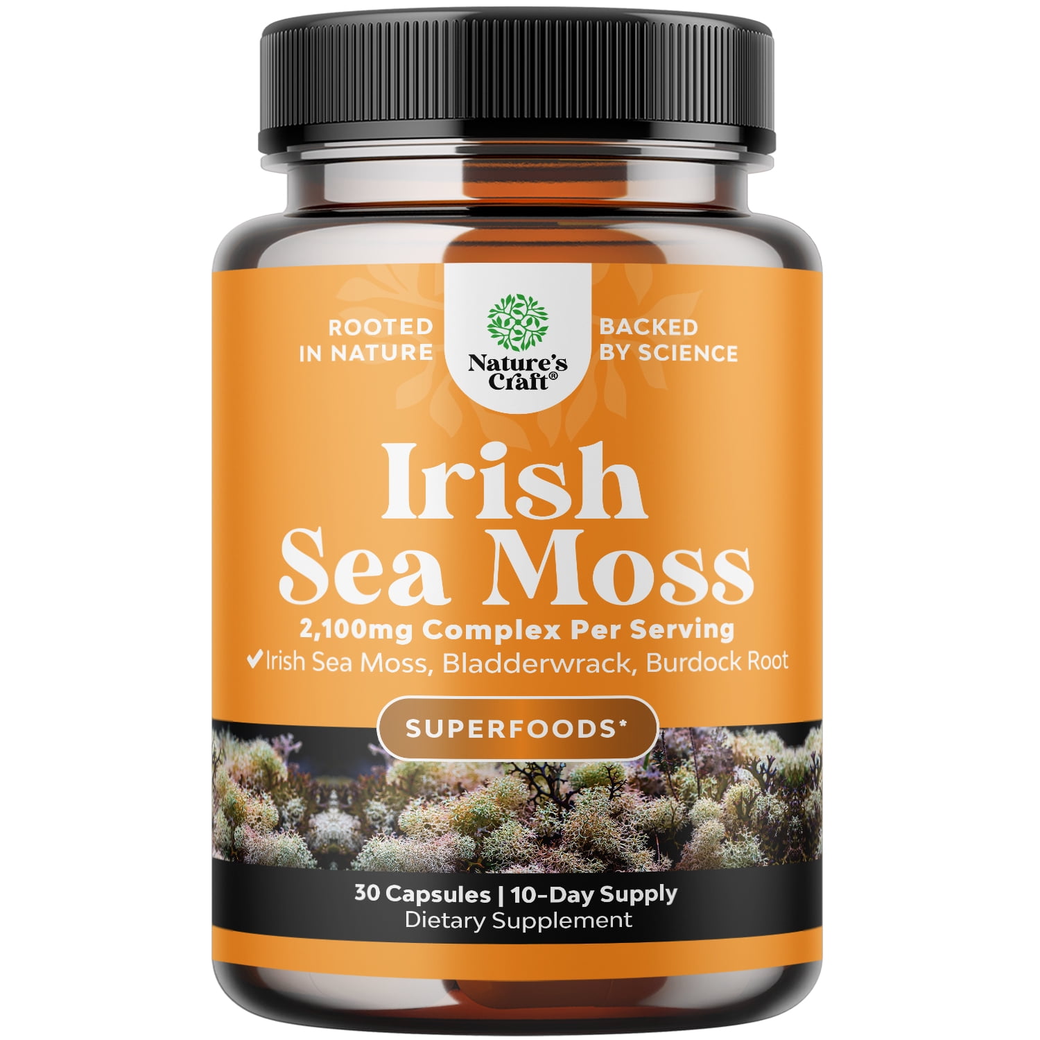 Organic Irish Sea Moss Capsules - Sea Moss and Bladderwrack Capsules ...