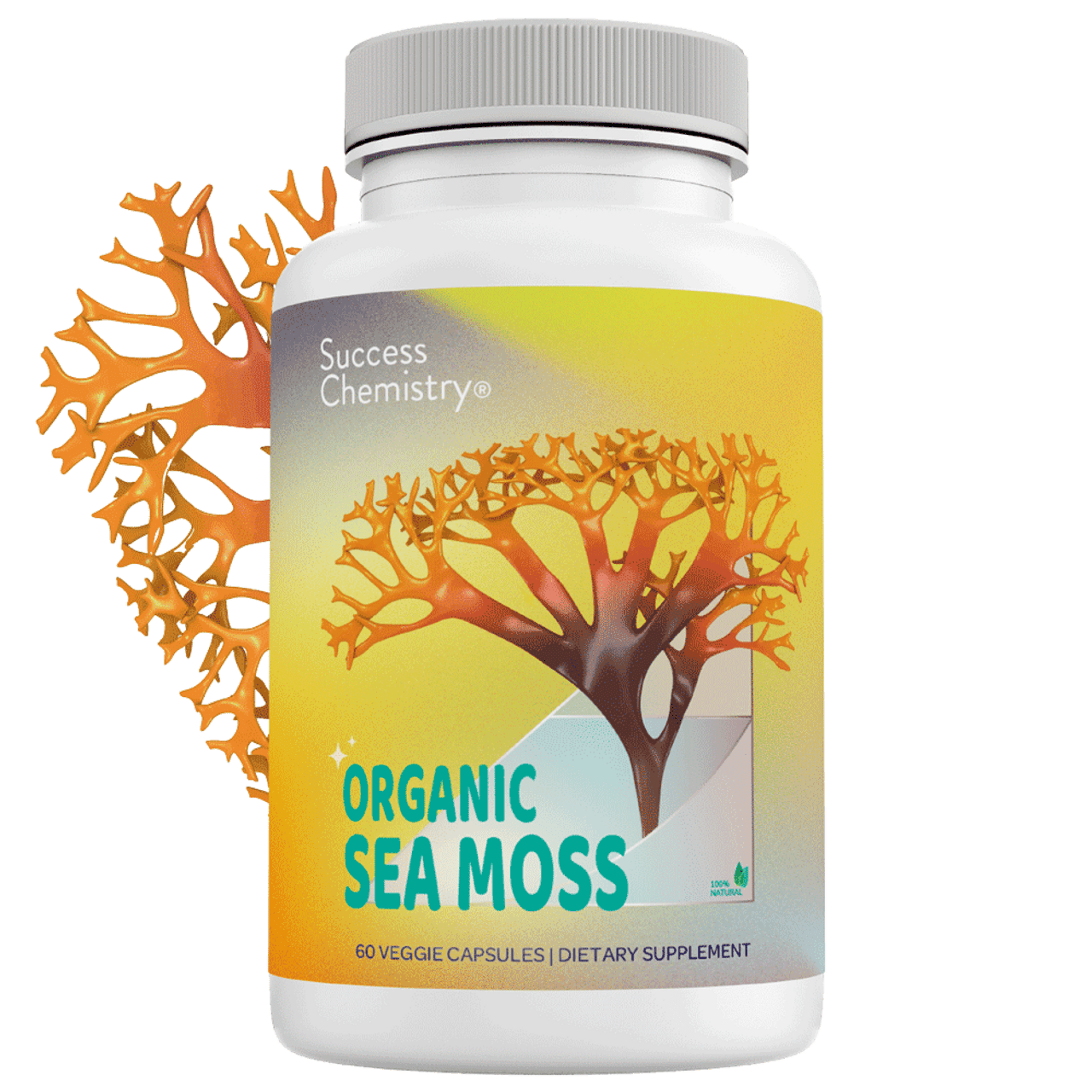 Success Chemistry Organic Irish Sea Moss Supplement Capsules For Super Immune Support with Organic Irish Moss for Adults - 60 Capsules
