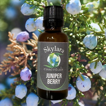 Organic Juniper Berry Essential Oil