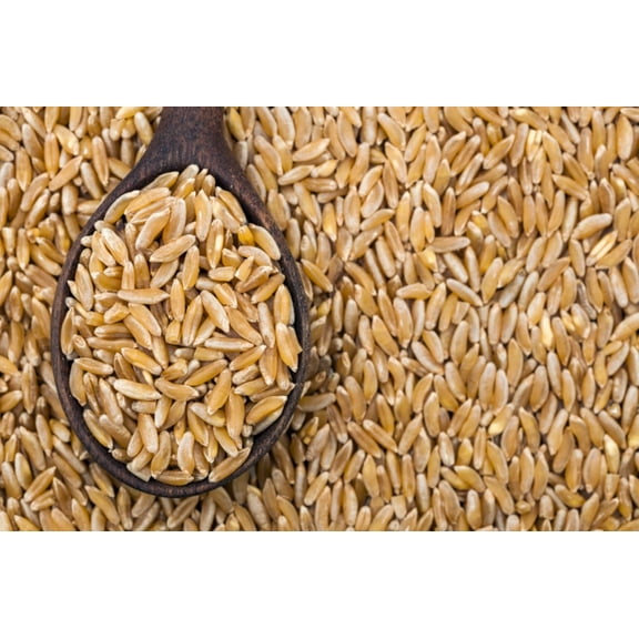 Organic Kamut Brand Flakes Precooked