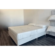 Latex Mattress Factory 6 Organic Latex Mattress - King