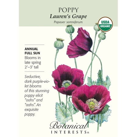 Organic Lauren's Grape Poppy Seeds - 150 mg
