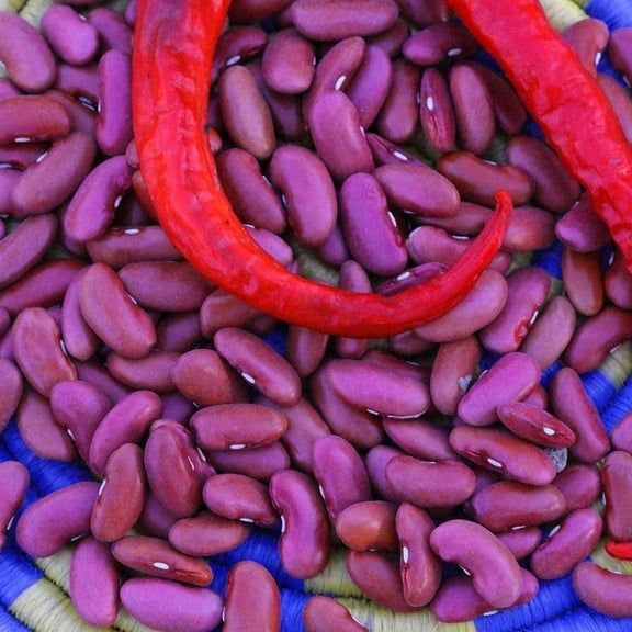 Organic Light Red Kidney Beans - 1/2 OZ ~46 Seeds - Organic Heirloom Open Pollinated Non-GMO Farm & Vegetable Gardening Seeds