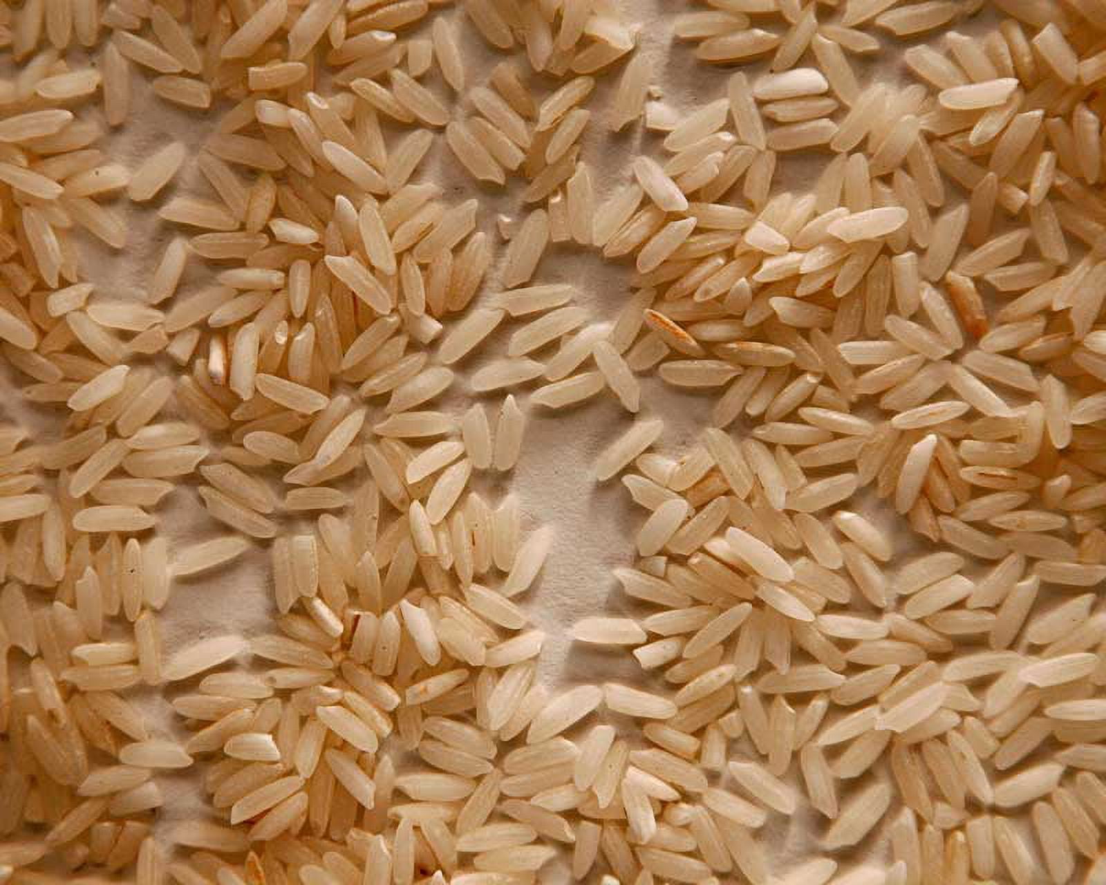 Organic Lundberg Long Grain Brow N Rice