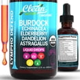 thumbnail image 1 of Organic Lymphatic Drainage Supplement | Lymphatic Support Drops | Burdock Root Echinacea Elderberry Dandelion Astragalus Milk Thistle Sea Moss Red Clover Cleanse Marigold Drop By Clean Nutra, 1 of 9