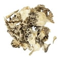 Organic Maitake Mushroom Pieces, Dried Organic Hen of the Woods Mushroom, NonGMO, Gluten Free
