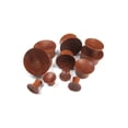 thumbnail image 1 of Organic Mayan Flare Coconut Wood Plugs/Tunnels/Gauges 2 Piece (1 Pair) (B/103) (1/2'' (12MM)), 1 of 2