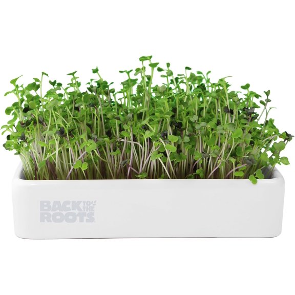 Organic Microgreens Grow Kit with Ceramic Planter, Expandable Soil, Seeds, and Germination Lid