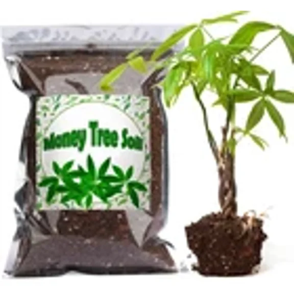 Organic Money Tree Soil Mix 1Qt, Indoor Plants Potting Mix for All Potted Money