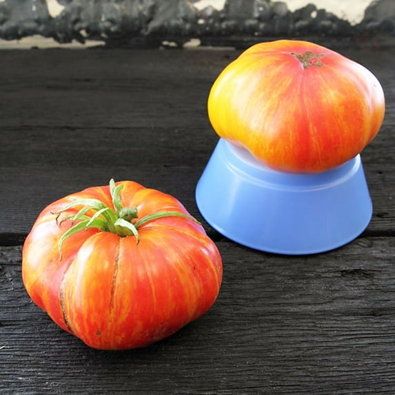 Organic Mr. Stripey Tomato Seeds ~25 Seeds - Organic, Heirloom, Open Pollinated, Non-GMO, Farm & Vegetable Gardening Seeds