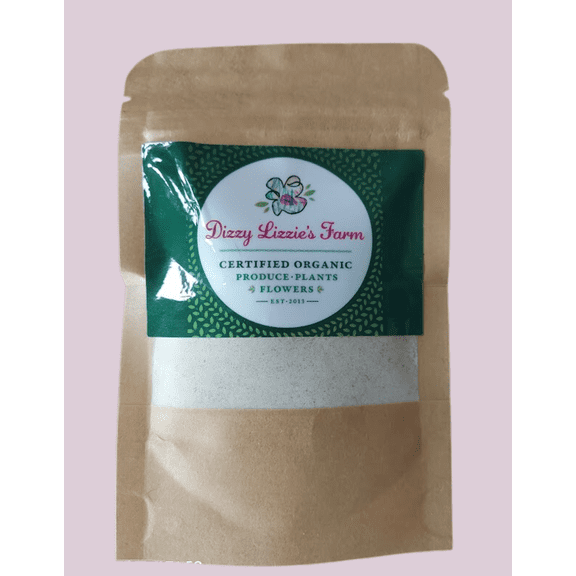 Organic Onion Powder