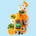 thumbnail image 1 of Organic Orange Light 52oz (4 Bottles), 1 of 3