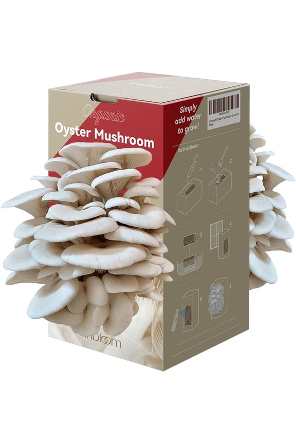 Organic Oyster Mushroom Growing Kit with Spray, Harvest Fresh Mushrooms at Home, Beginner Friendly & Easy to Use, Unique Gardening Gift for Holiday, Handmade in New Jersey, USA
