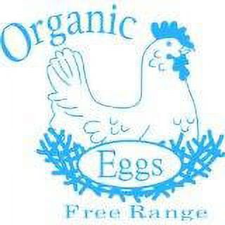 Organic Picture Art - Living RoomHome Decor Sticker - Vinyl Wall