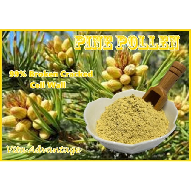 Organic Pine Pollen Powder 99 Broken Cracked Cell Wall (wild harvested
