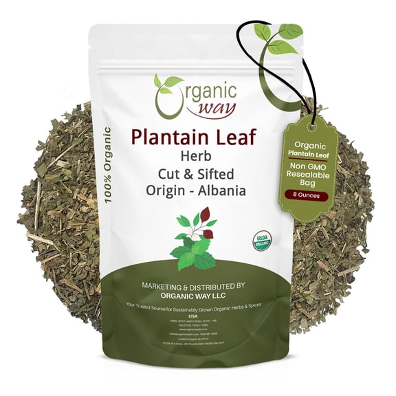 Organic Plantain Leaf Cut & Sifted Herbal Tea | 8 oz (1/2 lb) | Albania Origin | Loose Leaf Tea