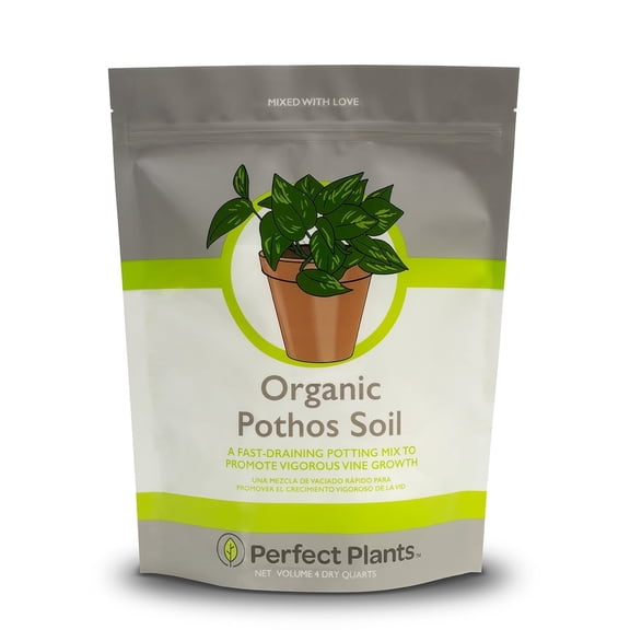 Organic Pothos Soil Potting Mix in 4qt Bag for All Potted Pothos Grow Healthy houseplants