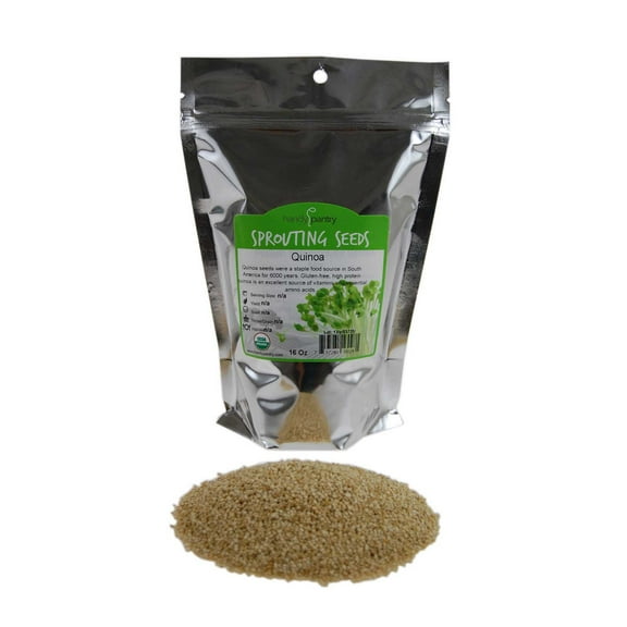 Organic Quinoa Seed- 1 Lb - Quinoa Grain Seeds - For Flour, Bread, Baking, Cooking, Food Storage, Cereal, More