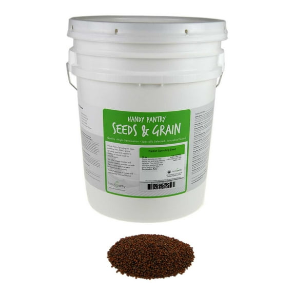 Organic Radish Sprouting Seeds: 30 Lbs Bucket - Bulk Non-GMO Radish Seed for Sprouting Sprouts, Micro Greens, Survival Food Storage, Hydroponics, Vegetable Garden, More