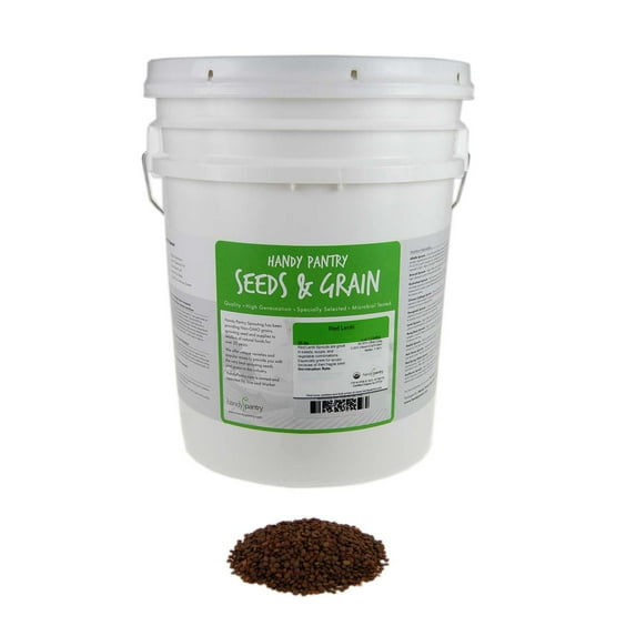 Organic Red Lentil Sprouting Seeds -35 Lbs - Handy Pantry Brand - Red Lentils- Perfect for Garden Seeds, Gardening, Salad, Soup, Sprouts & Food Storage