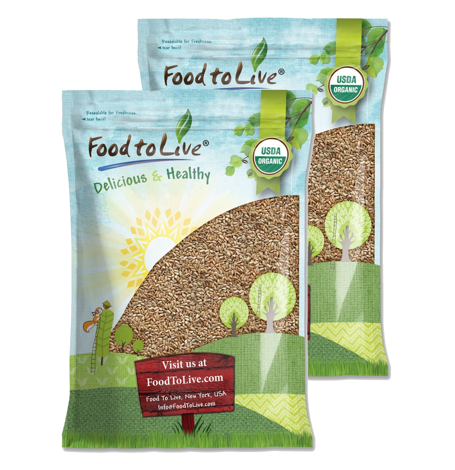 Organic Roasted Sunflower Seeds, 16 Pounds — Non-GMO, Kosher, Vegan — by Food to Live