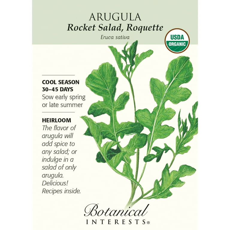 Rocket Arugula/Roquette Seeds - (Eruca sativa)