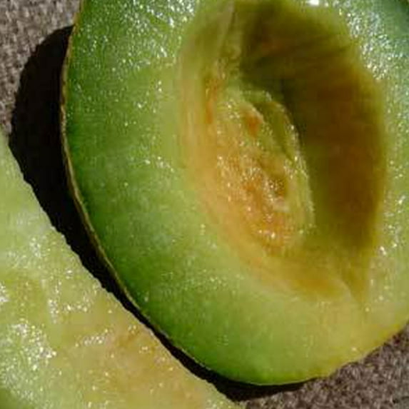 Organic Rocky Ford Green Flesh Melon - 1 g ~30 Seeds - Organic, Heirloom, Open Pollinated, Non-GMO, Farm & Vegetable / Fruit Gardening Seeds