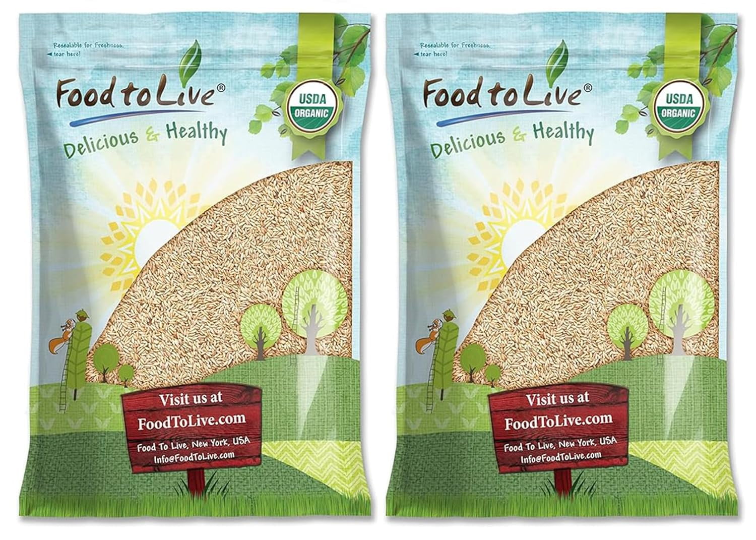 Organic Rye Berries, 20 Pounds NonGMO, Kosher, , Bulk Seeds, Product