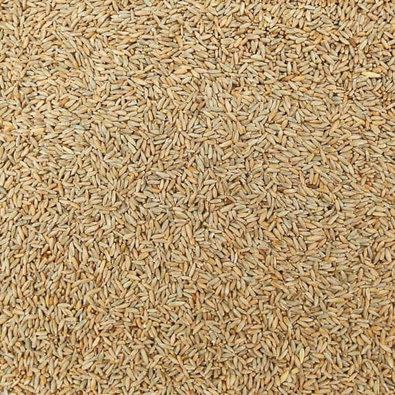 Organic Rye Kernels
