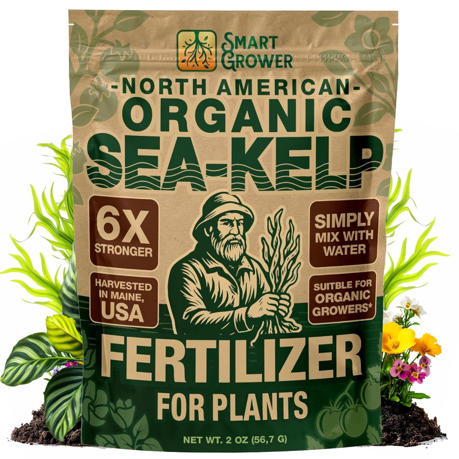 Organic Sea Kelp Fertilizer for Plants – Water-Soluble – Makes 50 Gallons – Kelp Meal Concentrate Plant Food – for Indoor Gardens, Hydroponics, Vegetables, Houseplants - - 2oz Bag
