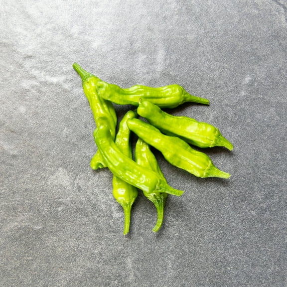 Organic Shishito Sweet Pepper Seeds 500mg ~250 Seeds – Non-GMO, Heirloom, Mild Pepper for Grilling, Stir-Fry, Container Gardening, High Yield, Open-Pollinated, USA Packaged