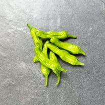 Organic Shishito Sweet Pepper Seeds 500mg ~250 Seeds – Non-GMO, Heirloom, Mild Pepper for Grilling, Stir-Fry, Container Gardening, High Yield, Open-Pollinated, USA Packaged